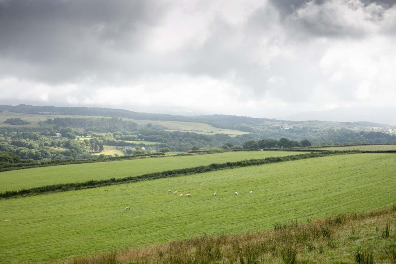 Cwtch Farm Bed & Breakfast Ystalyfera Eksteriør billede